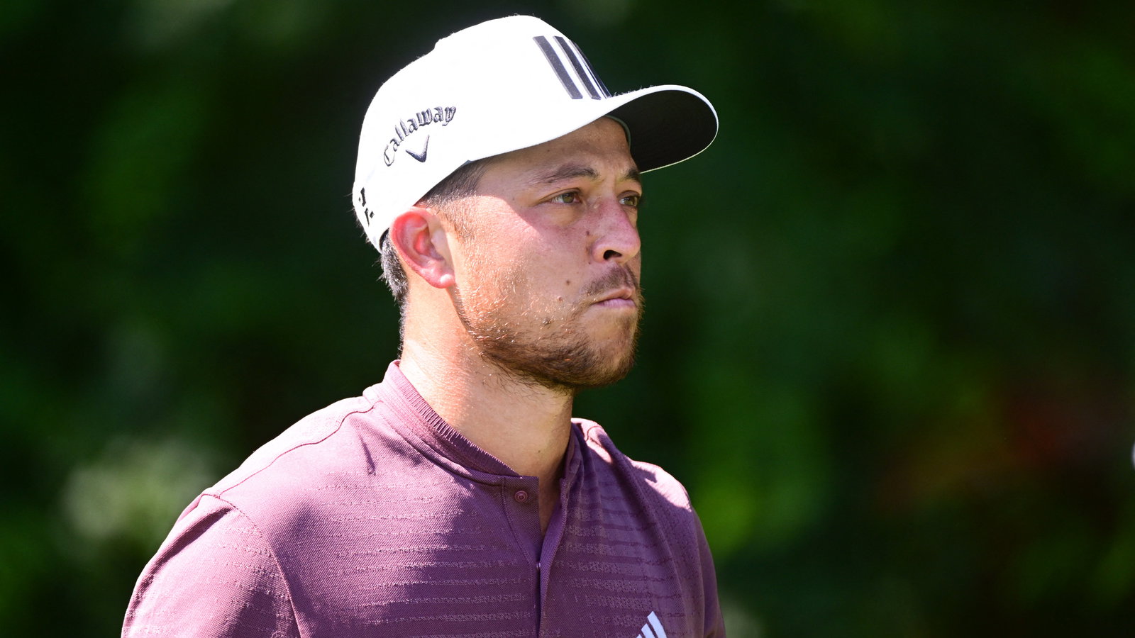 WATCH: Clueless fan picks up Xander Schauffele's golf ball at Presidents Cup